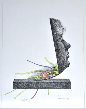 Paul Van Hoeydonck - Zeefdruk - Gesigneerd - 54x42 cm - 1977 kopen? Bied vanaf 125!