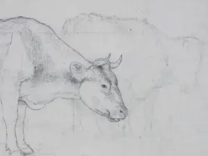 Alphonse Stengelin - Runderen - Tekening kopen? Bied vanaf 35!