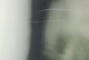 Hans van Ommeren - Fotografie op dibond, Bomen en licht kopen? Bied vanaf 50!