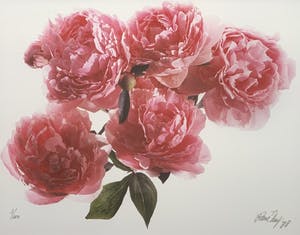 Paul Huf - C-print - 'Peonies' - 1988 (INGELIJST) kopen? Bied vanaf 150!