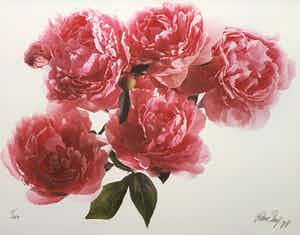 Paul Huf - C-print - 'Peonies' - 1988 (INGELIJST) verkocht voor € 150!