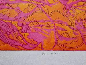 Hector Saunier - Grote, in 1970 gemaakte Epr. d'Art. reliëf kleuren Ets 'eau Vive' gesigneerd kopen? Bied vanaf 55!