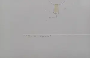 Hans Andringa - De merel - gesigneerde ets aquarel kopen? Bied vanaf 69!