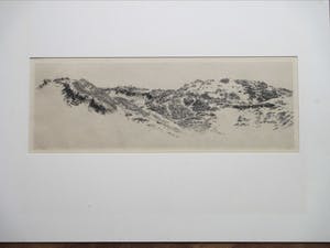 Dirk Harting - Weids duinlandschap - Ets kopen? Bied vanaf 50!