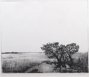 Rutger-Jan Bredewold - Ets, Landschap - Ingelijst kopen? Bied vanaf 1!
