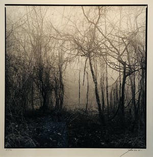 Ralph Janowski - zonder titel met lijst! kopen? Bied vanaf 145!