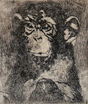 Theo Goedvriend - Aapjes Kijken - zes etsen kopen? Bied vanaf 100!