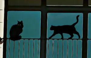 Mr Strange - Le Vieil Homme et ses Chats kopen? Bied vanaf 80!