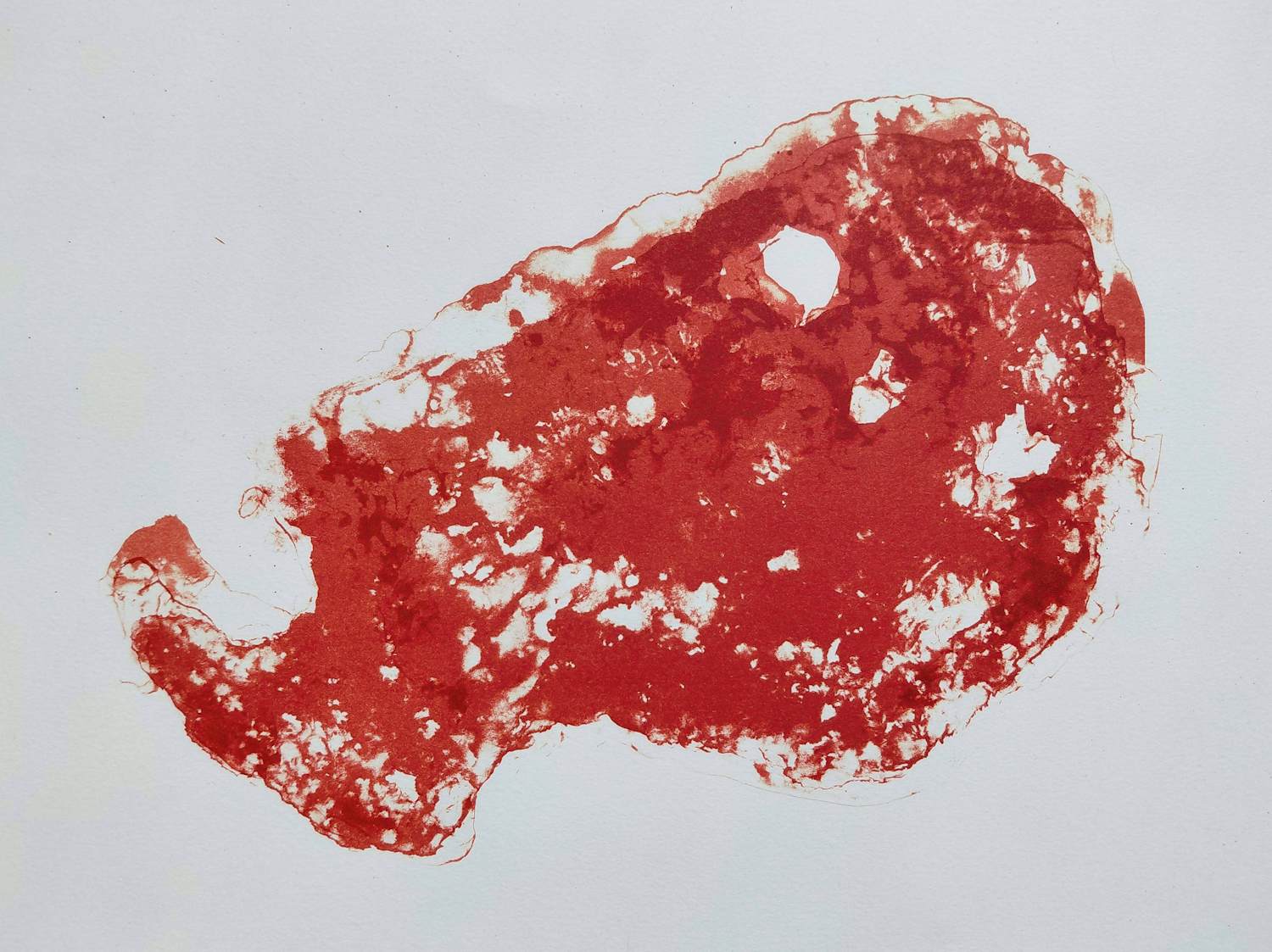 Armando - Der Kopf (Rot), litho kopen? Bied vanaf 250!