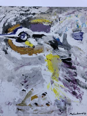 Nico Molenkamp - Zeefdruk, Vogel kopen? Bied vanaf 45!