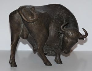 Evert den Hartog - Stier kopen? Bied vanaf 750!
