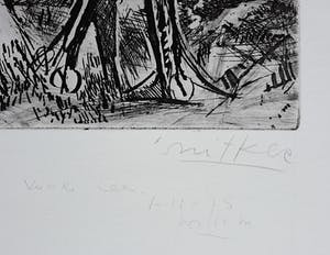 Willem Snitker - Paard in woest landschap, aquatint ets kopen? Bied vanaf 50!