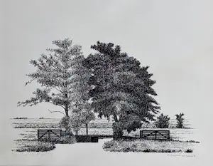 Sees Vlag - Krimpenerwaard kopen? Bied vanaf 85!