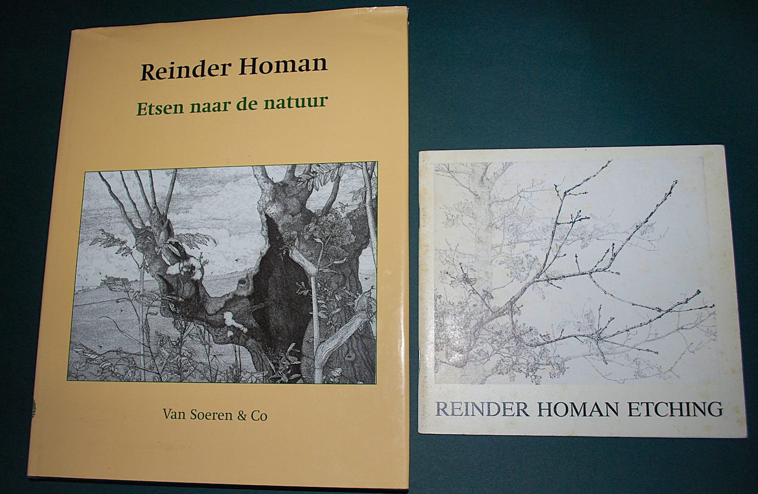 Reinder Homan - hardcover: etsen naar de natuur (schaars) & gids 1989 kopen? Bied vanaf 65!