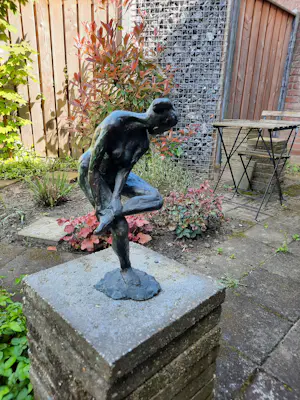 Karel Gomes - Model kopen? Bied vanaf 450!