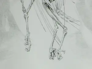 Gerard van Rooy - Danse Macabre II - Ets kopen? Bied vanaf 60!