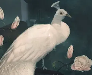 Frans Everbag - Witte Pauw kopen? Bied vanaf 150!