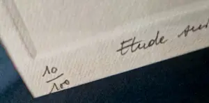 Andre Colpin - Edith, studie naar Egon Schiele kopen? Bied vanaf 40!