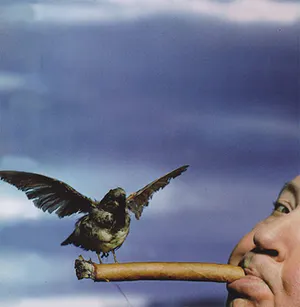 Philippe Halsman - The birds 1962 kopen? Bied vanaf 50!