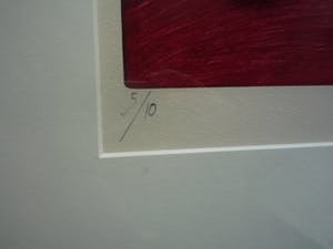 Dana Andreev - Through the window kopen? Bied vanaf 119!