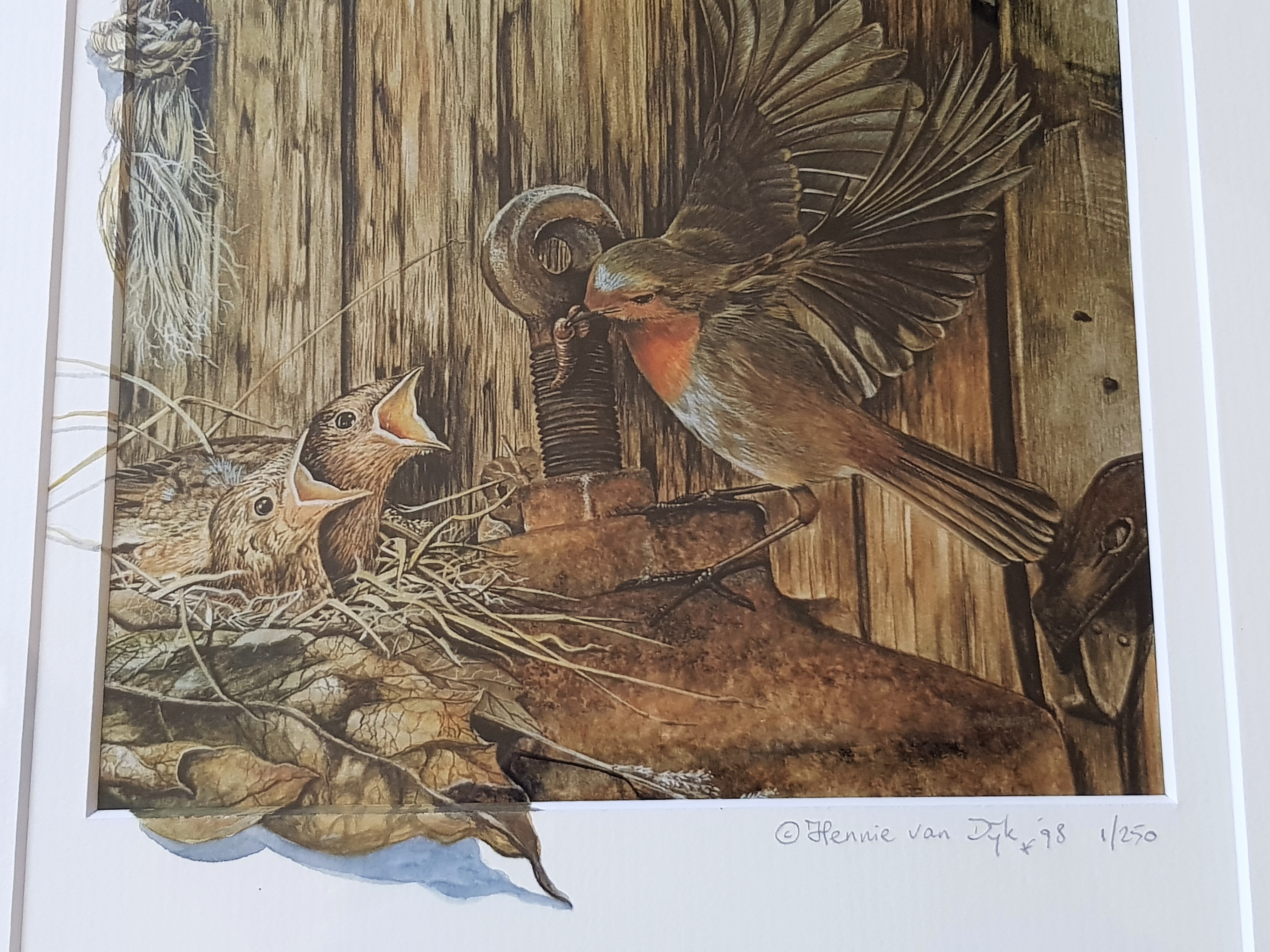 Hennie van Dijk - Voedertijd - Ingelijst met Certificaat kopen? Bied vanaf 30!