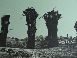 Nicolaas Wijnberg - Litho , Bomen – bijlage tijdschrift Petit No 2 - 1979 kopen? Bied vanaf 35!