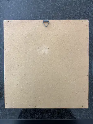 Frits Kelder - Hortensia's kopen? Bied vanaf 50!