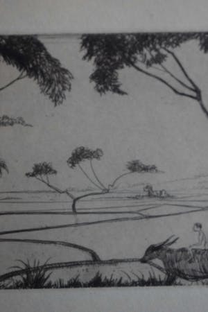 Jan Poortenaar - Ets - Rijstvelden in Indonesië kopen? Bied vanaf 50!