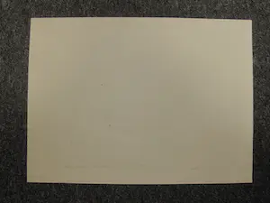 Aat Veldhoen - TWEE(2) Rotaprenten "donkere vrouw" & "Diny" potloodgesigneerd kopen? Bied vanaf 48!