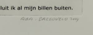 Ada Breedveld - Handgekleurde ets, Hoe krijg ik ooit dit sappig bloot in deze jurk vol ademnood? kopen? Bied vanaf 50!