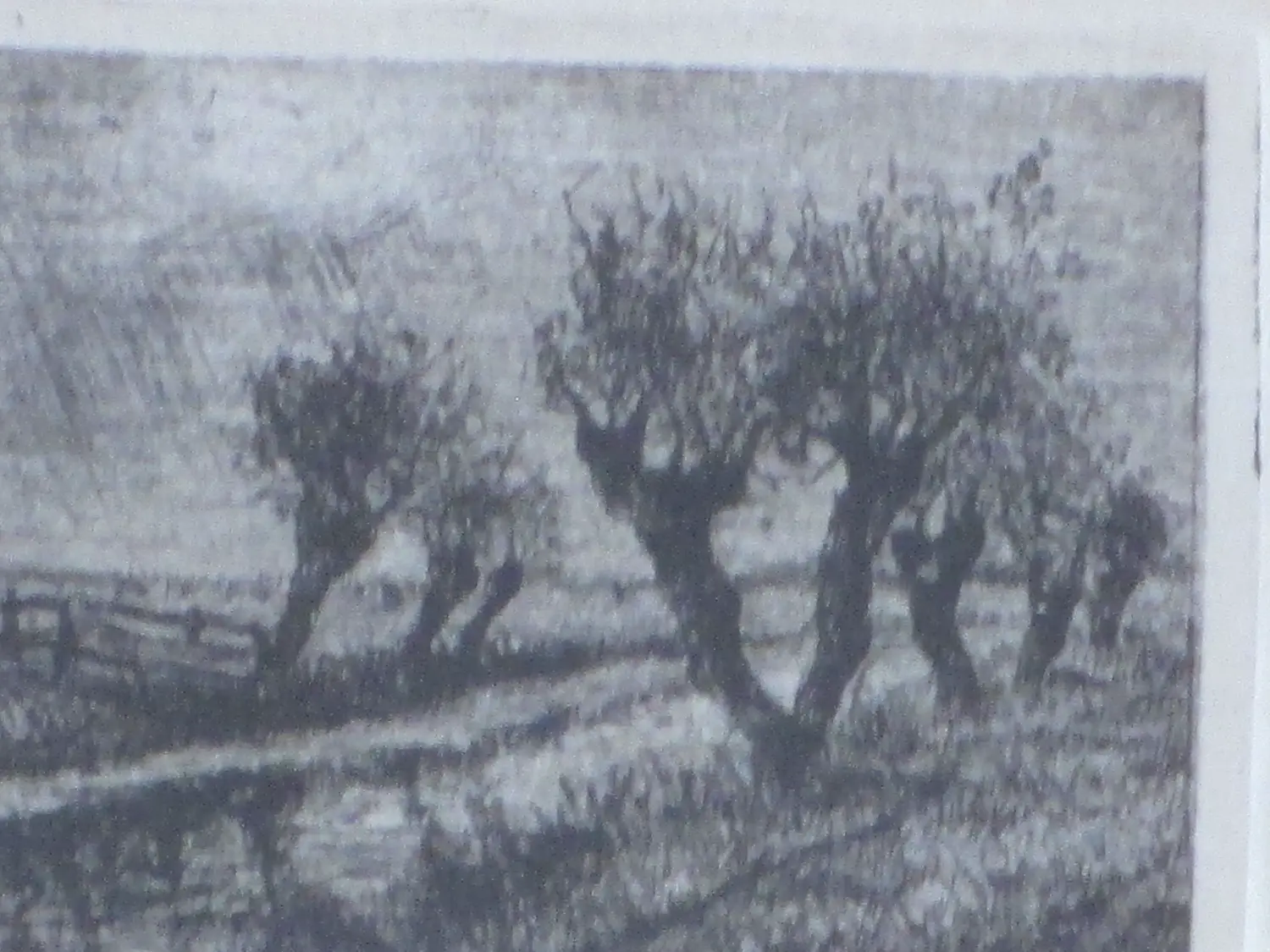 Louis Stiel (1881-1950)