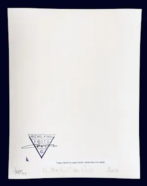 Michel Pinel - Lises Armband – Brüssel – 2004 kopen? Bied vanaf 60!