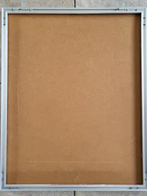 Aart van Dobbenburgh - Appelvink kopen? Bied vanaf 75!