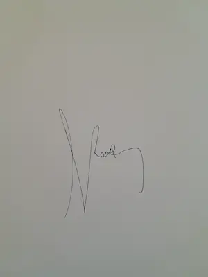 Koen Vanmechelen - Fighter kopen? Bied vanaf 740!