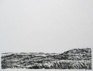 Arthur Kempenaar - Ets landschap kaufen? Bieten Sie von 20!