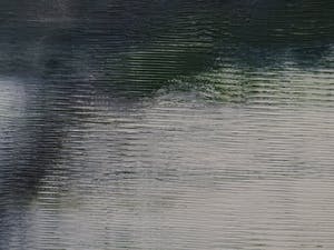 Paul Corvers - Foggy Forest (583) kopen? Bied vanaf 150!