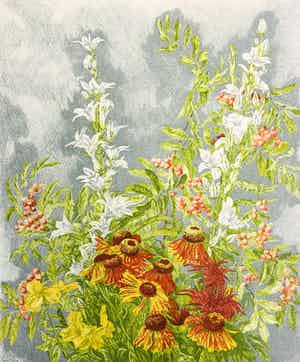 Edgar Fernhout - Boeket verkocht voor € 45!