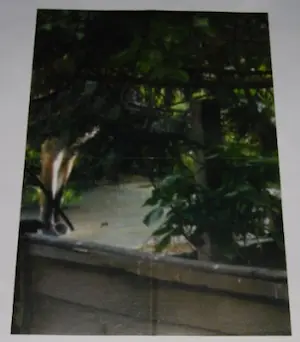 Robert Barry - 10 items uit de serie point d'ironie kopen? Bied vanaf 1!