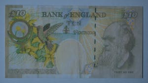 Banksy - Banksy - Di-Faced tenner kopen? Bied vanaf 75!