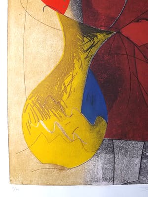 Duck Sung Kang - kleuren ets in heldere kleuren op Arches. kopen? Bied vanaf 1!