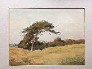 Willem Kooiman - Vier landschappen kopen? Bied vanaf 30!