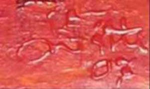 Franscz Witte - Acryl op board, Levend landschap - Ingelijst kopen? Bied vanaf 35!