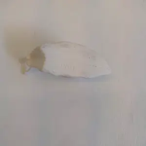 Ottmar Horl - Avant-garde slak kopen? Bied vanaf 1!