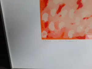 Henk van Vessem - Jana Beranová kopen? Bied vanaf 55!