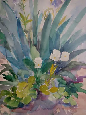 Buy Marie Willemse-Vervloet - Tuinbloemen? Bid from 40!