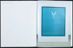 Damien Hirst - Gesigneerd boek - Beyond Belief kopen? Bied vanaf 1!