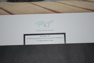 Gregor Rosinski - Thorgal: cover van De Zwarte Galei - 1e druk 1993 - handgesigneerd en genummerd kopen? Bied vanaf 65!