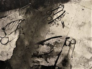 Jo Manders - Jaren 60 Illusionistisch realisme - Grote "Insecten" Sepia tekening - gesigneerd kopen? Bied vanaf 20!