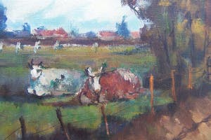 Pie Wilhelmus - Koeien in het Geuldal kopen? Bied vanaf 65!