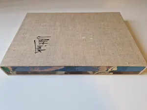 Jan Altink - Gottmer en Becht Haarlem in 1978 uitgegeven standaardwerk incl. stofhoes kopen? Bied vanaf 1!